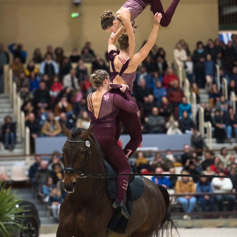 Social Horsefood format met logo Sociale media 2