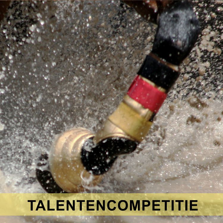 Talenten competitie